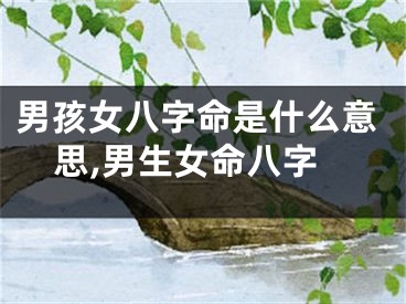 男孩女八字命是什么意思,男生女命八字