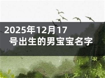2025年12月17号出生的男宝宝名字