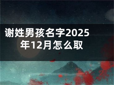 谢姓男孩名字2025年12月怎么取