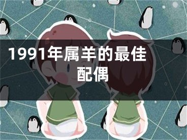 1991年属羊的最佳配偶