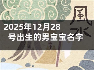 2025年12月28号出生的男宝宝名字