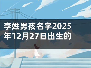 李姓男孩名字2025年12月27日出生的