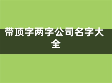 带顶字两字公司名字大全