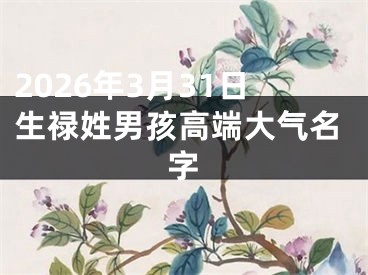 2026年3月31日生禄姓男孩高端大气名字