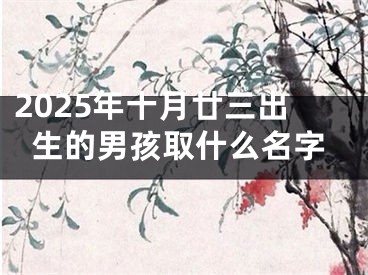 2025年十月廿三出生的男孩取什么名字