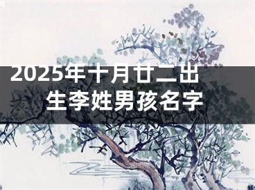 2025年十月廿二出生李姓男孩名字