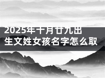 2025年十月廿九出生文姓女孩名字怎么取