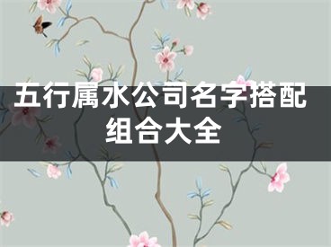 五行属水公司名字搭配组合大全