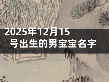 2025年12月15号出生的男宝宝名字