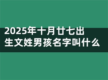 2025年十月廿七出生文姓男孩名字叫什么