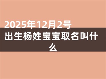 2025年12月2号出生杨姓宝宝取名叫什么