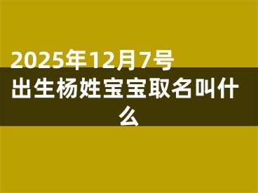 2025年12月7号出生杨姓宝宝取名叫什么
