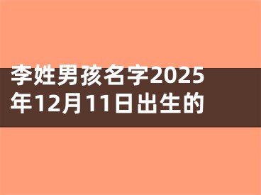 李姓男孩名字2025年12月11日出生的