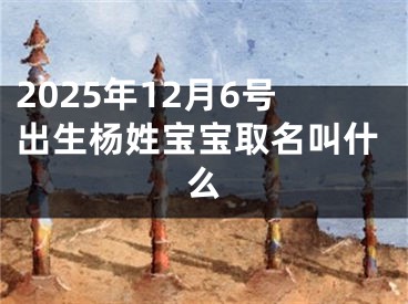 2025年12月6号出生杨姓宝宝取名叫什么