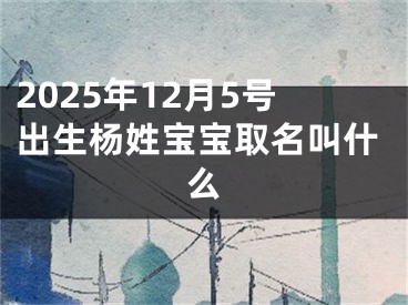 2025年12月5号出生杨姓宝宝取名叫什么
