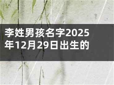 李姓男孩名字2025年12月29日出生的
