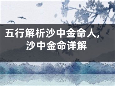 五行解析沙中金命人,沙中金命详解