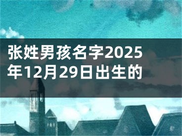 张姓男孩名字2025年12月29日出生的