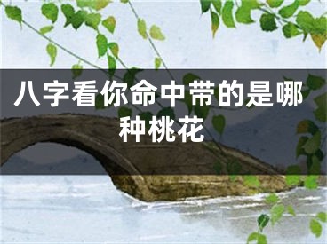 八字看你命中带的是哪种桃花