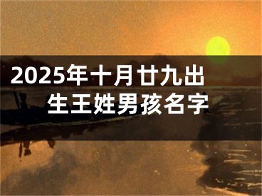 2025年十月廿九出生王姓男孩名字