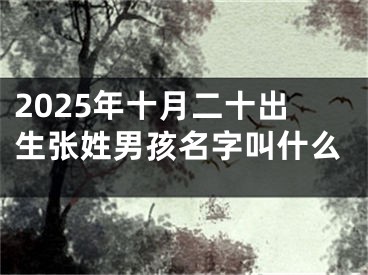 2025年十月二十出生张姓男孩名字叫什么