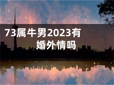 73属牛男2023有婚外情吗