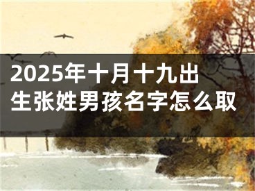 2025年十月十九出生张姓男孩名字怎么取