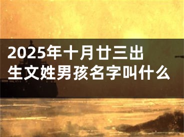 2025年十月廿三出生文姓男孩名字叫什么