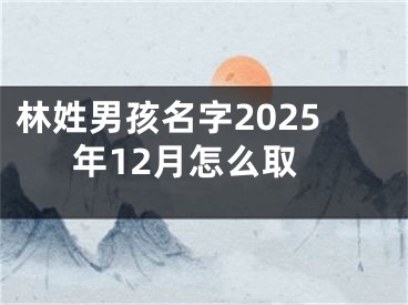 林姓男孩名字2025年12月怎么取
