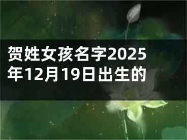 贺姓女孩名字2025年12月19日出生的