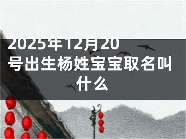 2025年12月20号出生杨姓宝宝取名叫什么