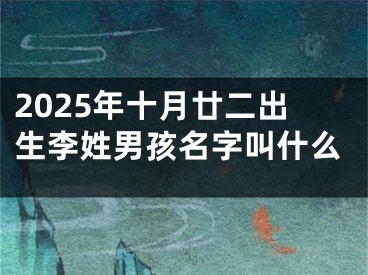 2025年十月廿二出生李姓男孩名字叫什么