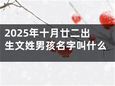 2025年十月廿二出生文姓男孩名字叫什么