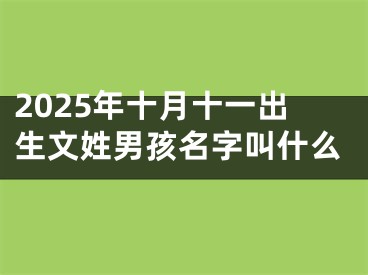 2025年十月十一出生文姓男孩名字叫什么