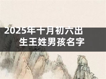2025年十月初六出生王姓男孩名字