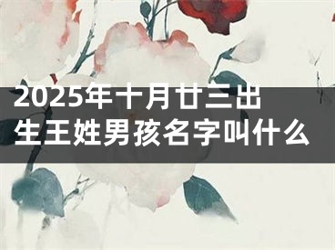 2025年十月廿三出生王姓男孩名字叫什么