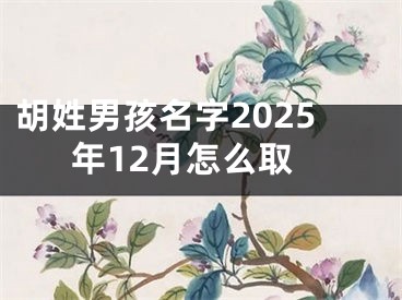 胡姓男孩名字2025年12月怎么取