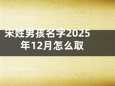 宋姓男孩名字2025年12月怎么取
