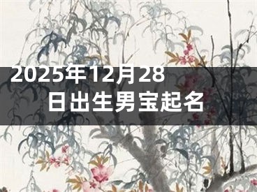 2025年12月28日出生男宝起名