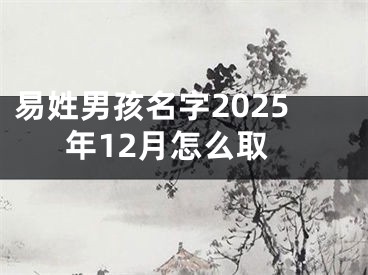 易姓男孩名字2025年12月怎么取