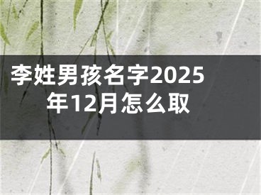 李姓男孩名字2025年12月怎么取