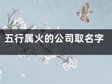 五行属火的公司取名字