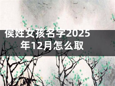 侯姓女孩名字2025年12月怎么取