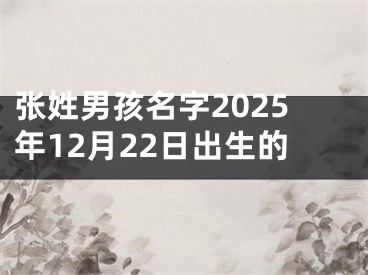 张姓男孩名字2025年12月22日出生的