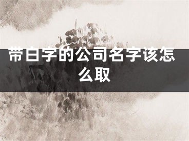 带白字的公司名字该怎么取