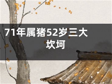 71年属猪52岁三大坎坷