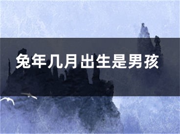 兔年几月出生是男孩