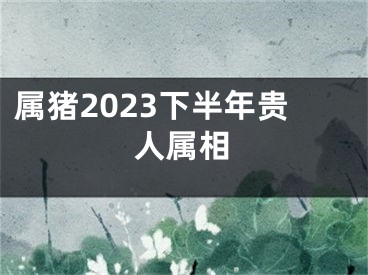 属猪2023下半年贵人属相