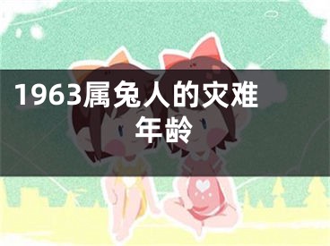 1963属兔人的灾难年龄