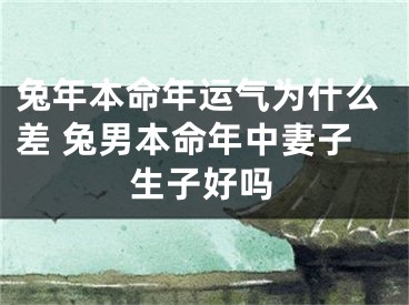兔年本命年运气为什么差 兔男本命年中妻子生子好吗